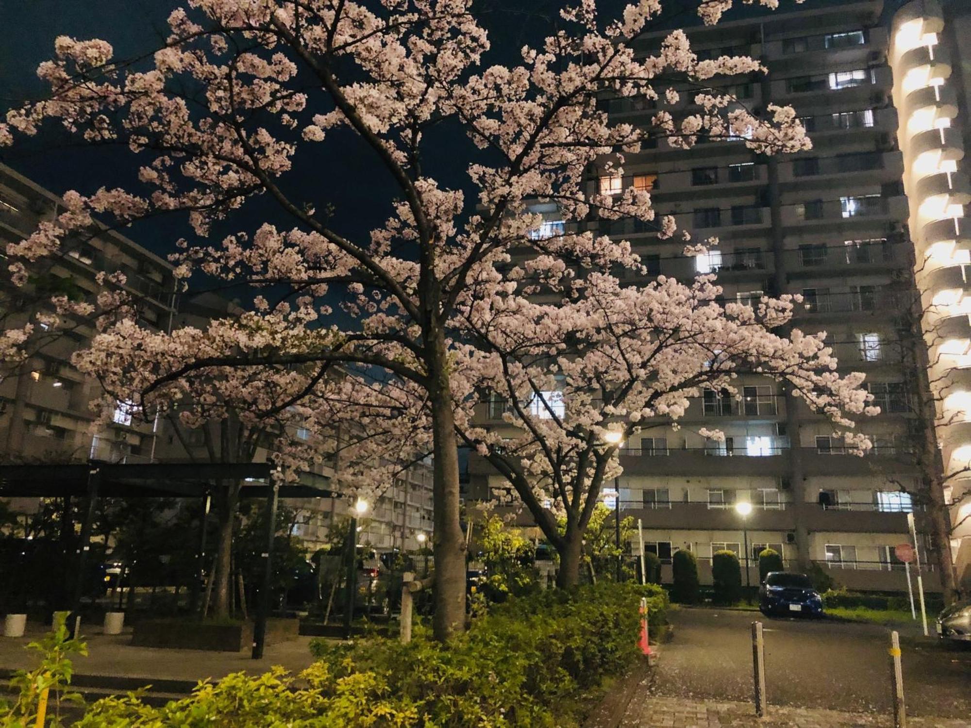 Jl 東京 House - 駐車場付き築浅のまるごと貸切住宅 โตเกียว ภายนอก รูปภาพ