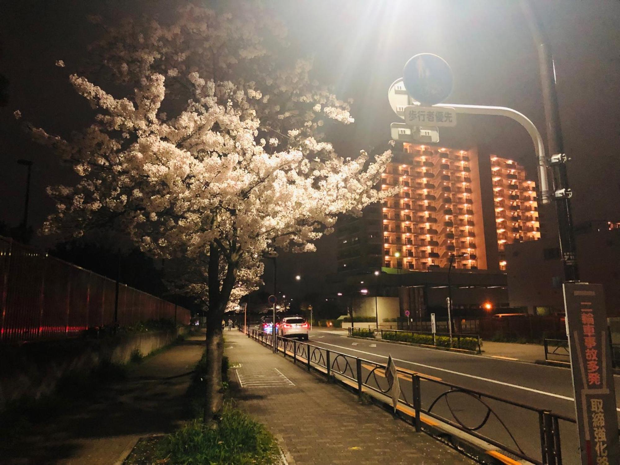 Jl 東京 House - 駐車場付き築浅のまるごと貸切住宅 โตเกียว ภายนอก รูปภาพ